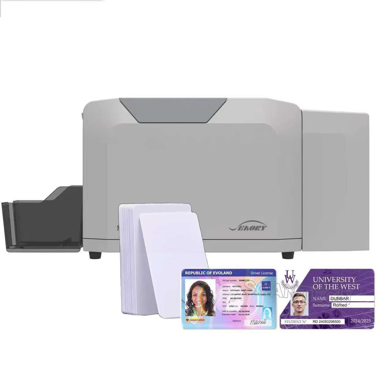 Seaory S28 Kunststoff-PVC-ID-K – Commercial Ribbon Printing Machine Bewertung und Preis